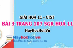 Giải bài 3 trang 107 Hoá 11 SGK Chân trời sáng tạo